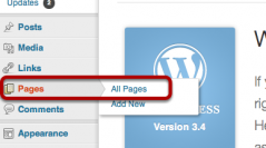 Editing Pages in WordPress